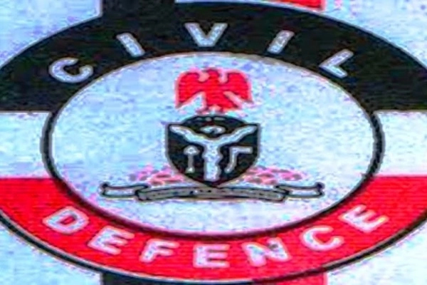 The Nigeria Security And Civil Defence Corps Ranks And Symbols