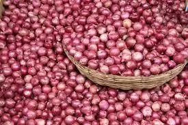 How to Start an Onions Business in Nigeria