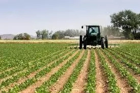 Agricultural Practice In Tanke, Ilorin Kwara State And How to Improve It