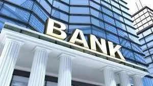 The Role Of Financial Institutions In A Developing Economy