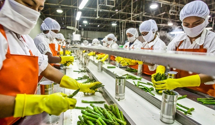 How To Start Food Processing Business In Nigeria