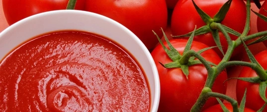 7 Steps to Start Tomatoes Processing in Nigeria