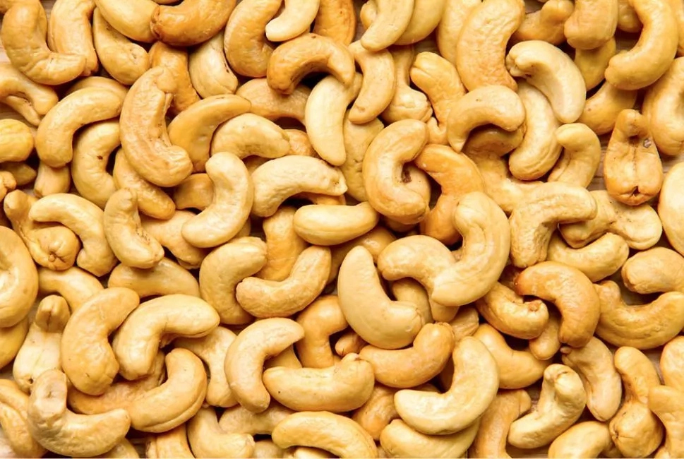 Problems Affecting Cashew Nut Trade In Nigeria