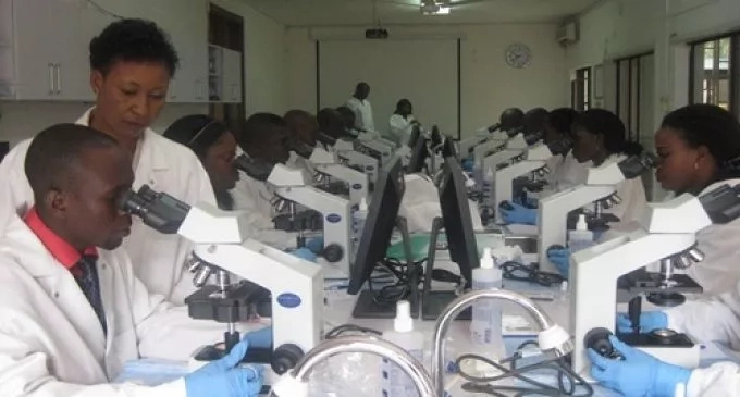 Where To Work As A Microbiologist In Nigeria
