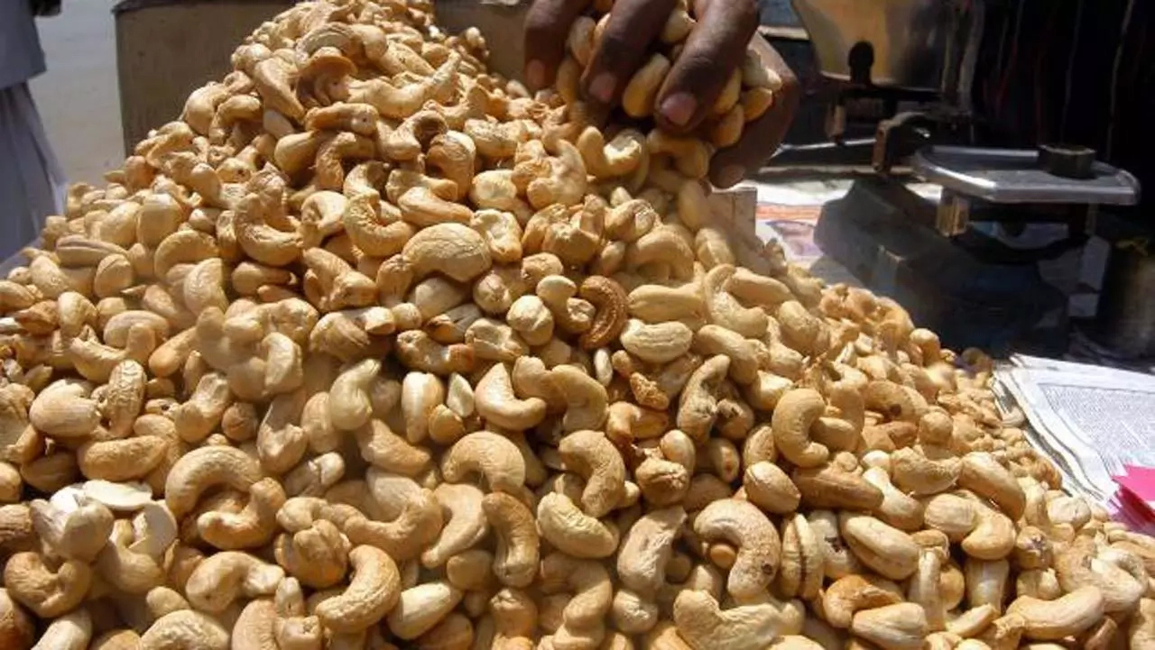 Strategies To Boost The Production Of Cashew Nuts In Nigeria