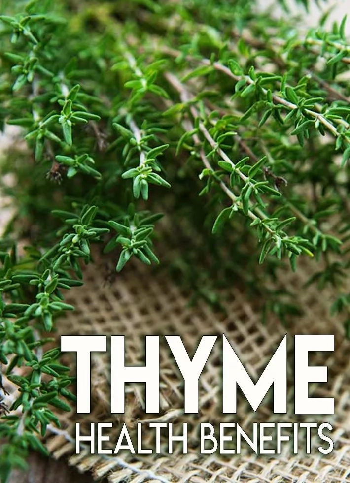 Health Benefits of Thyme