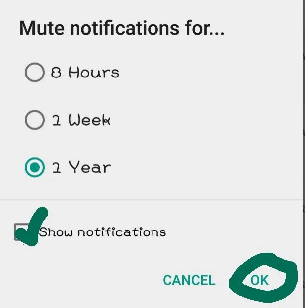 mute notifications for whatsapp with duration