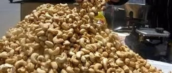 How To Start Cashew Trade In Nigeria