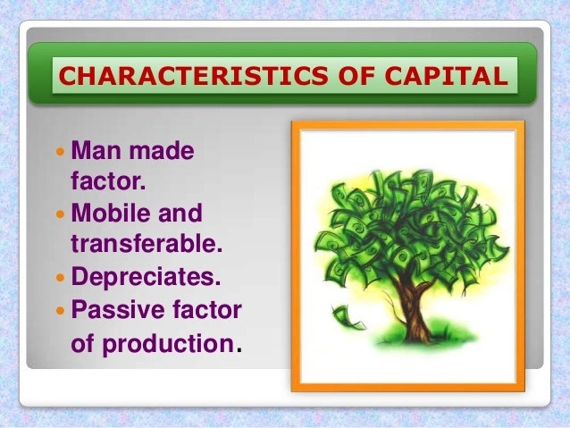 Characteristics of Capital