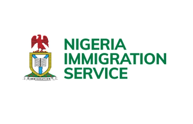 Nigerian Immigration Ranks And Symbols Information Guide In Nigeria