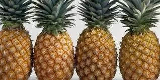 Steps To Start Pineapple Business And Tips To Succeed  