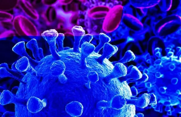 Tracks Positive and Negative Citations for COVID-19 Literature