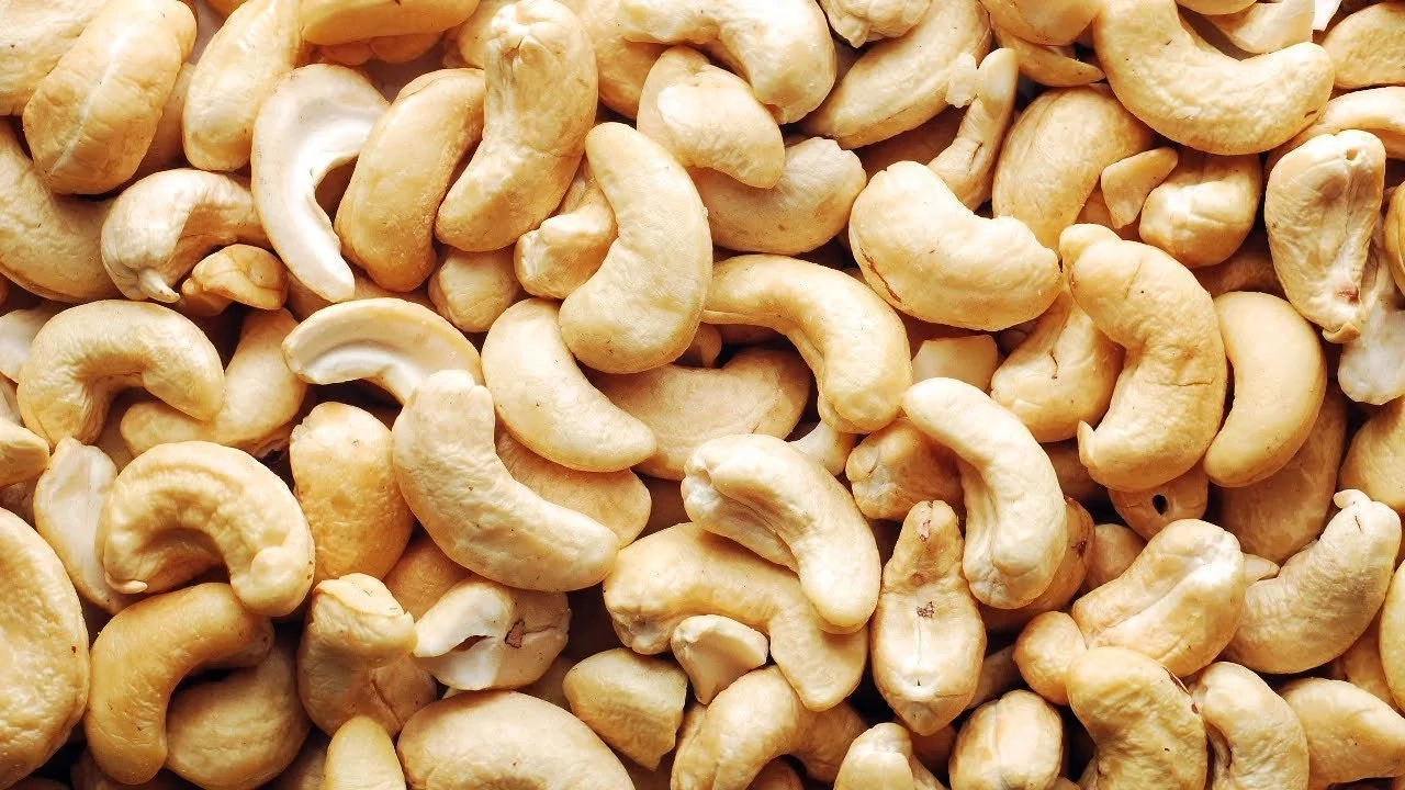 cashew nut trading