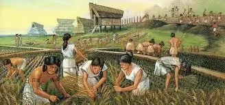 History of Agriculture