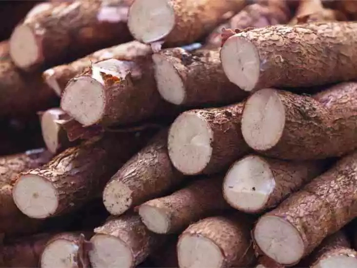 Foods To Produce From Cassava