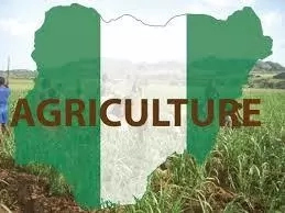 Agriculture and Nigeria Economic Development