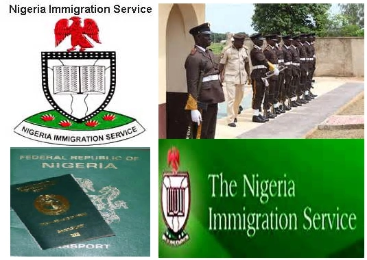 How to Become an Immigration Officer in Nigeria - ProGuide