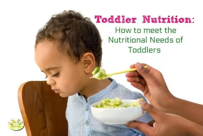 Nutritional Needs Of The Toddler