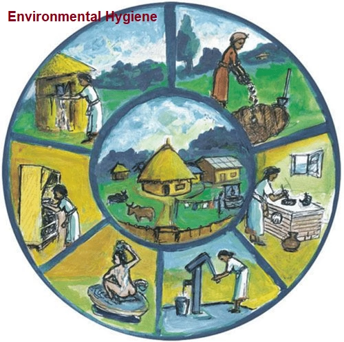 importance-of-environmental-sanitation-ecm-service