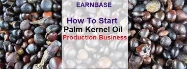 How To Start Palm Kernel Oil Business In Nigeria