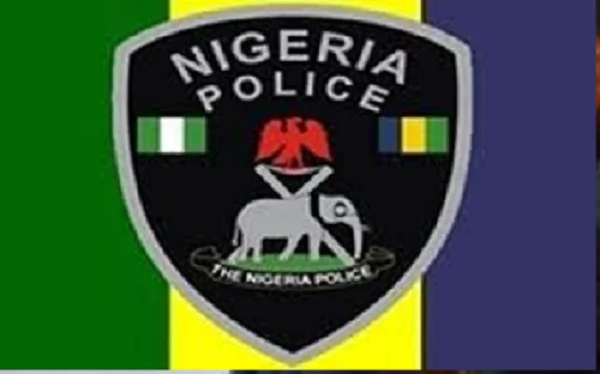 5 Major Functions of the Nigerian Police Force