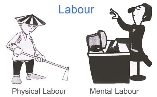 Characteristics of Labour