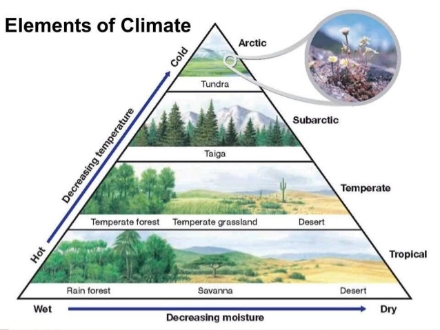 Elements of Climate