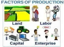 Features of the Factors of Production