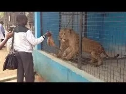How to Start a Zoo in Nigeria