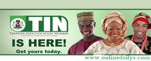 my nigeria tax identification number